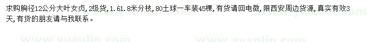 求購胸徑12公分大葉女貞