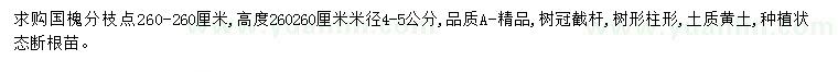求購米徑4-5公分國槐