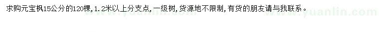 求購(gòu)15公分元寶楓