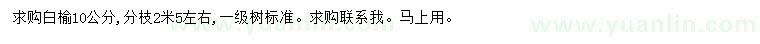 求購10公分白榆