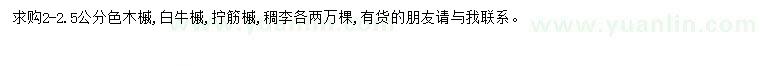 求購2一2.5公分色木槭