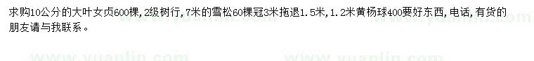 求購10公分大葉女貞