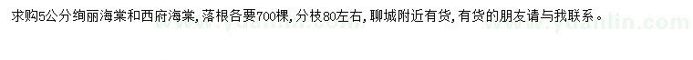 求購5公分絢麗海棠、西府海棠