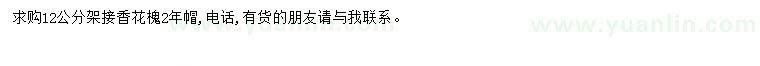 求購12公分花槐