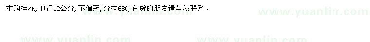 求購地徑12公分桂花