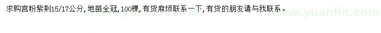 求購15-17公分宮粉紫荊