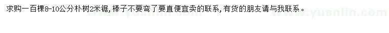 求購(gòu)8-10公分樸樹(shù)