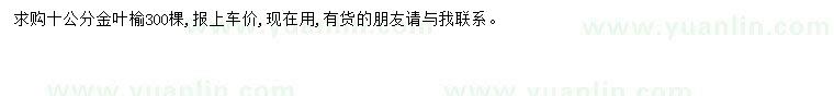 求購10公分金葉榆
