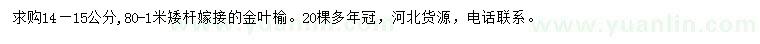 求購(gòu)14-15公分金葉榆