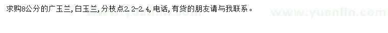 求購8公分廣玉蘭