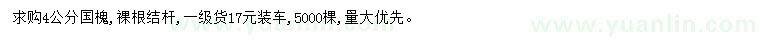 求購(gòu)4公分國(guó)槐