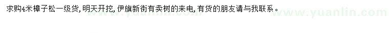 求購(gòu)4米樟子松