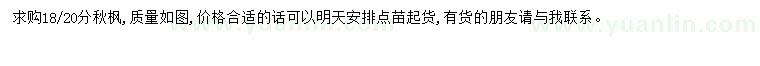 求購18-20公分秋楓