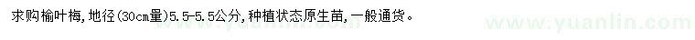 求購30量5.5公分榆葉梅