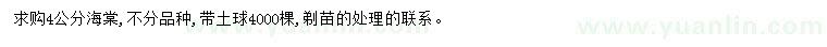 求購4公分海棠