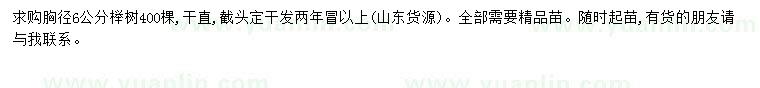 求購胸徑6公分櫸樹