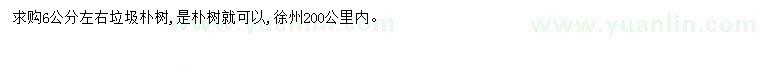 求購6公分樸樹