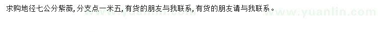 求購地徑七公分紫薇
