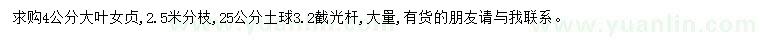 求購(gòu)4公分大葉女貞