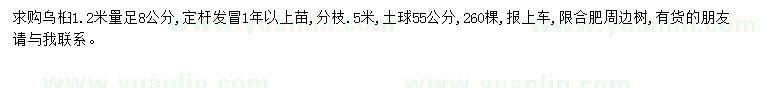 求購1.2米量8公分烏桕