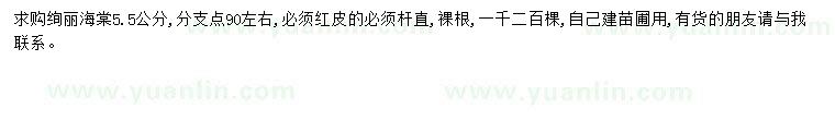 求購5.5公分絢麗海棠