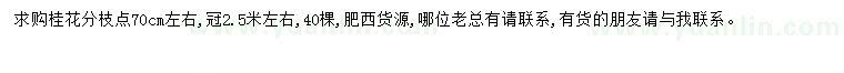 求購70公分桂花