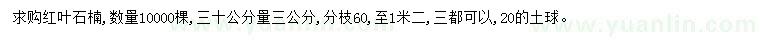 求購30量3公分紅葉石楠