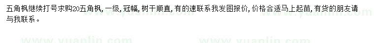 求購五角楓