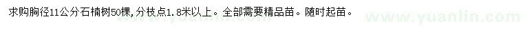 求購胸徑11公分石楠樹