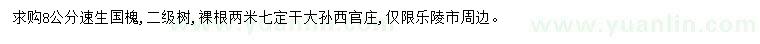 求購(gòu)8公分速生國(guó)槐