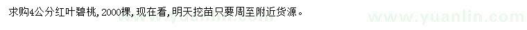 求購4公分紅葉碧桃