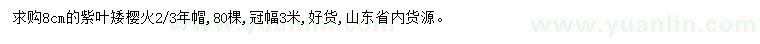 求購(gòu)8公分紫葉矮櫻