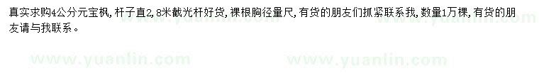 求購4公分元寶楓