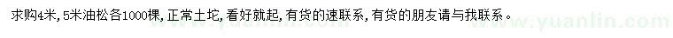求購求購4米5米油松