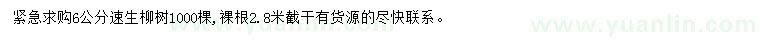求購6公分速生柳樹