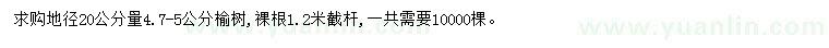 求購20公分量4.7-5公分榆樹(shù)