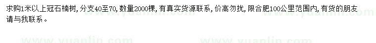 求購1米以上石楠樹