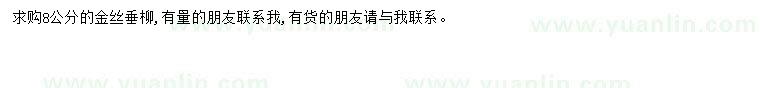 求購8公分金絲垂柳