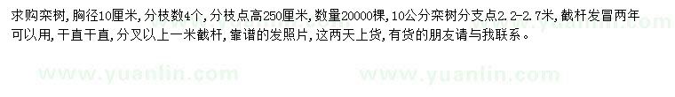 求購胸徑10公分欒樹