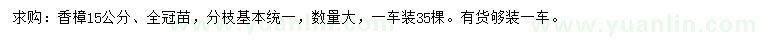 求購15公分香樟
