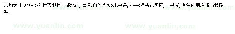 求購19-20公分大葉榕