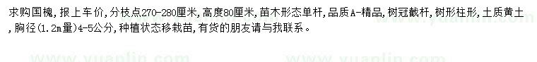 求購國槐