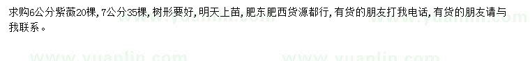求購6公分紫薇