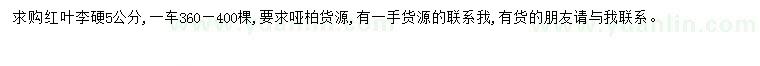 求購5公分紅葉李