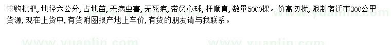 求購地徑六公分枇杷