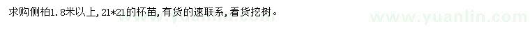 求購1.8米以上側(cè)柏