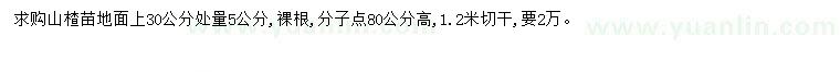 求購30量5公分山楂苗