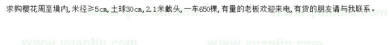 求購米徑5公分以上櫻花