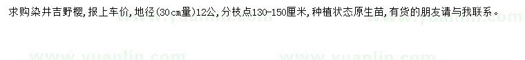 求購地徑12公分染井吉野櫻