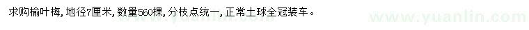求購地徑7公分榆葉梅